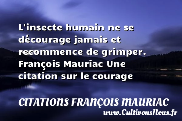L’insecte humain ne se - Citations François Mauriac - Citation courage