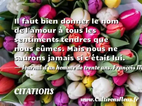 Il faut bien donner le nom de l amour à tous les sentiments tendres que nous eûmes. Mais nous ne saurons jamais si c était lui. - Journal d un homme de trente ans. François Mauriac CITATIONS