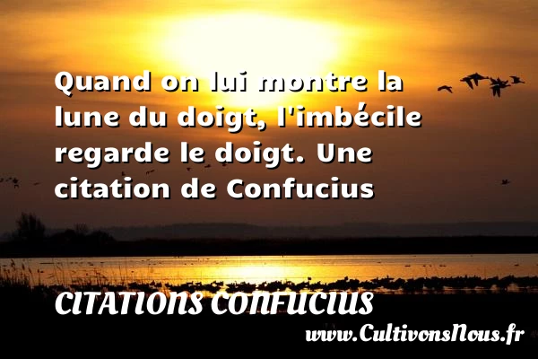 Quand on lui montre la lune - Citations Confucius - Citation imbécile