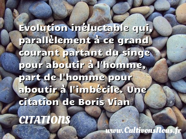 Evolution inéluctable qui, - Citations - Citations Boris Vian - Citation imbécile