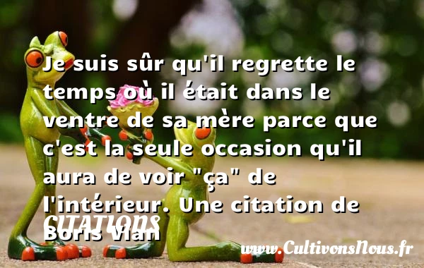 Je suis sûr qu’il regrette - Citations - Citations Boris Vian - Citation regret