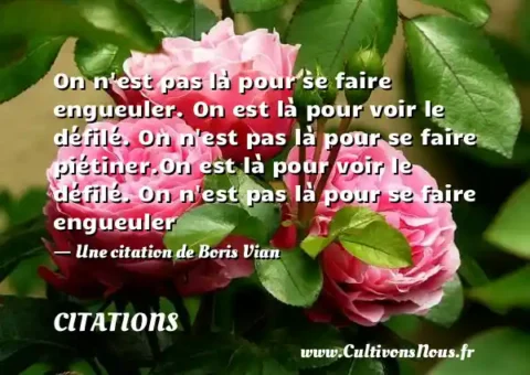 On n est pas là pour se faire engueuler. On est là pour voir le défilé. On n est pas là pour se faire piétiner.On est là pour voir le défilé. On n est pas là pour se faire engueuler - Une citation de Boris Vian CITATIONS