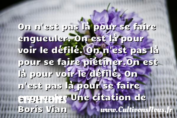 On n’est pas là pour se - Citations - Citations Boris Vian - Citation gueule