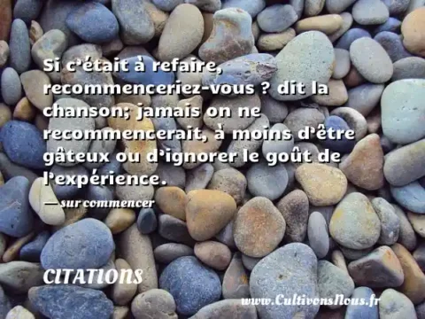 Si c’était à refaire, recommenceriez-vous ? dit la chanson; jamais on ne recommencerait, à moins d’être gâteux ou d’ignorer le goût de l’expérience. - sur commencer CITATIONS