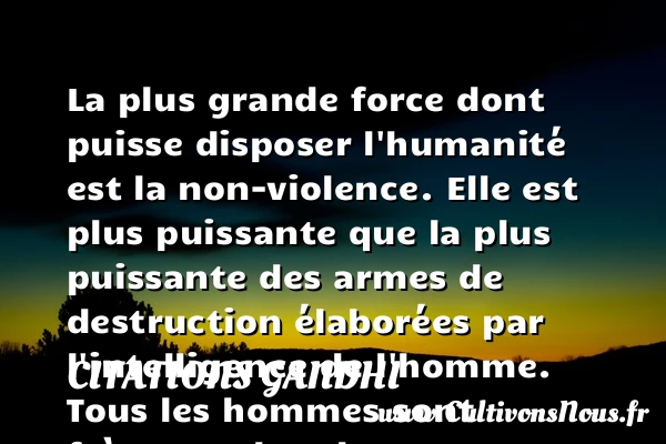La plus grande force dont - Citations Gandhi - Citation frère
