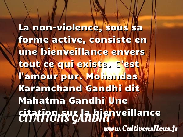 La non-violence, sous sa - Citations Gandhi - Citation bienveillance
