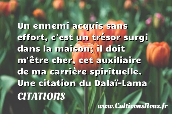 Un ennemi acquis sans - Citations - Citations Dalaï-Lama
