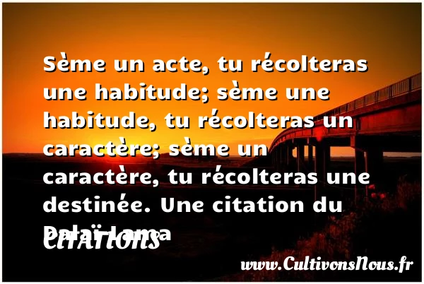 Sème un acte, tu récolteras - Citations - Citations Dalaï-Lama