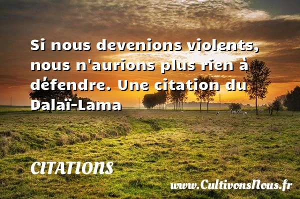 Si nous devenions violents, - Citations - Citations Dalaï-Lama