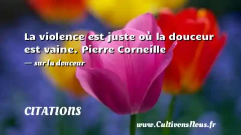 La violence est juste où la douceur est vaine. Pierre Corneille - sur la douceur CITATIONS