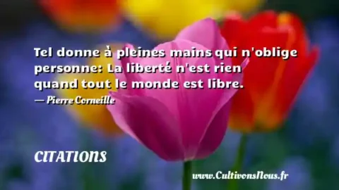Tel donne à pleines mains qui n oblige personne: La liberté n est rien quand tout le monde est libre. - Pierre Corneille CITATIONS