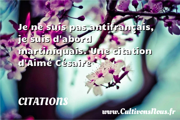 Je ne suis pas antifrançais, - Citations - Citations Aimé Césaire