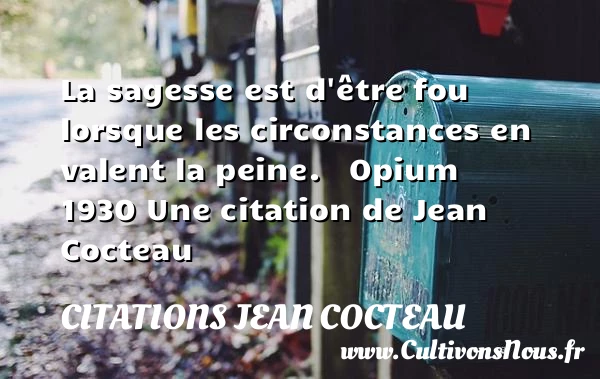 La sagesse est d’être fou - Citations Jean Cocteau - Citation sagesse