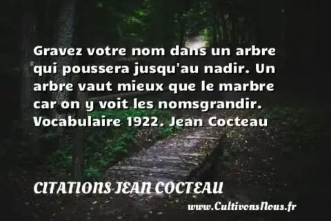 Gravez votre nom dans un arbre qui poussera jusqu au nadir. Un arbre vaut mieux que le marbre car on y voit les nomsgrandir. Vocabulaire 1922. Jean Cocteau CITATIONS JEAN COCTEAU