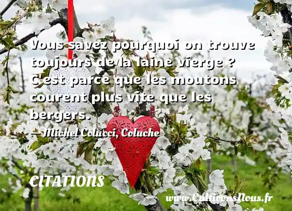 Vous savez pourquoi on trouve toujours de la laine vierge ? C est parce que les moutons courent plus vite que les bergers. - Michel Colucci, Coluche CITATIONS - Citations Coluche - Citation pourquoi