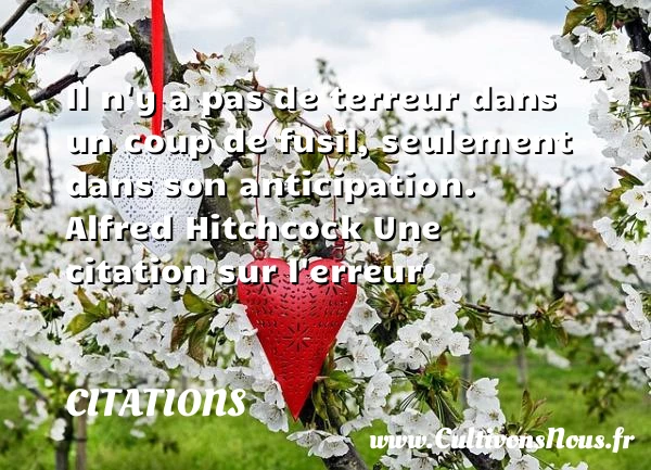 Il n’y a pas de terreur - Citations - Citations Alfred Hitchcock - Citation erreur