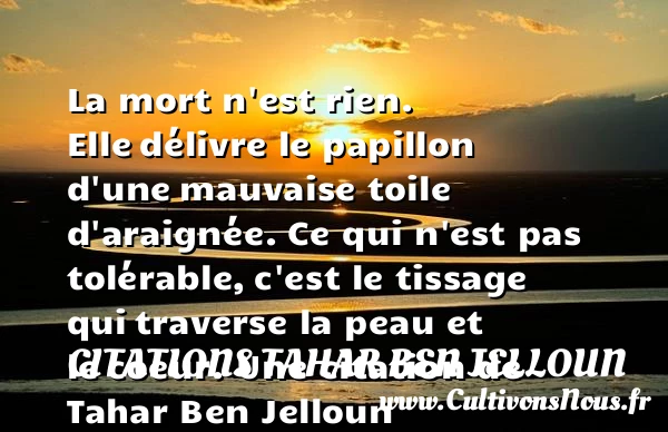 La mort n’est rien. Elle - Citations Tahar Ben Jelloun - Citation papillon