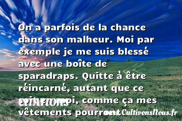 On a parfois de la chance dans son - Citations - Citations Philippe Geluck - Citation chance