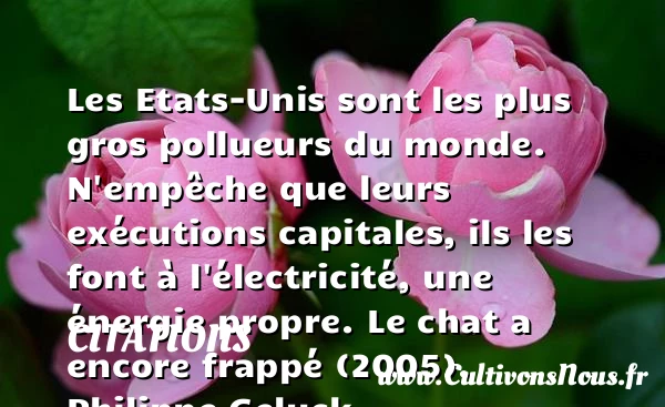 Les Etats-Unis sont les plus gros - Citations - Citations Philippe Geluck - Citation état