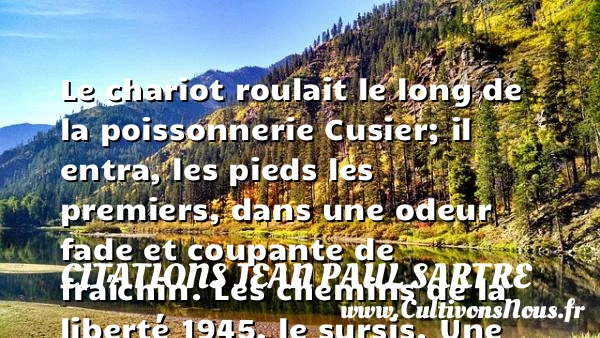 Le chariot roulait le long - Citations Jean Paul Sartre - Citation odeur