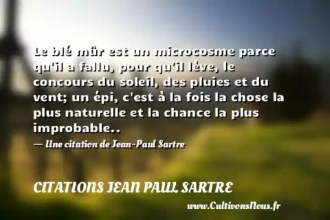 Le blé mûr est un microcosme parce qu il a fallu, pour qu il lève, le concours du soleil, des pluies et du vent; un épi, c est à la fois la chose la plus naturelle et la chance la plus improbable.. - Une citation de Jean-Paul Sartre CITATIONS JEAN PAUL SARTRE