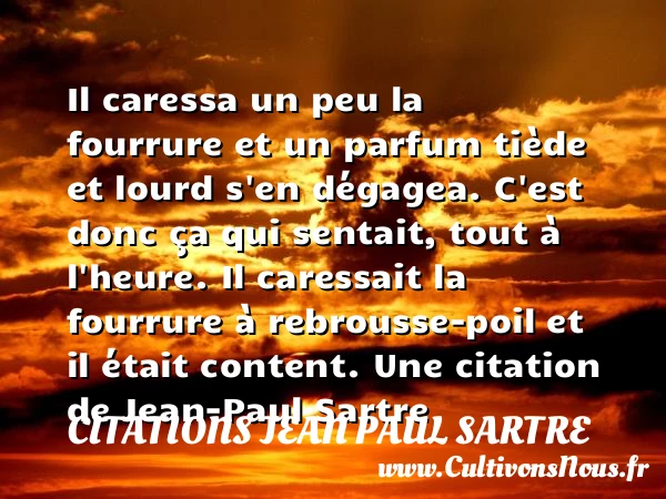 Il caressa un peu la - Citations Jean Paul Sartre - Citation parfum