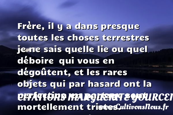 Frère, il y a dans presque - Citations Marguerite Yourcenar - Citation hasard