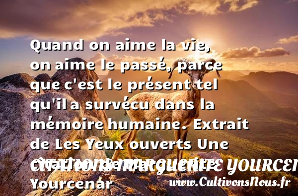 Quand on aime la vie, on - Citations Marguerite Yourcenar - Citation mémoire