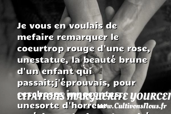 Je vous en voulais de me - Citations Marguerite Yourcenar