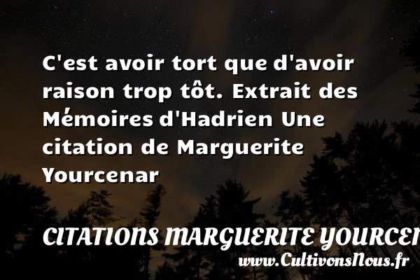 C’est avoir tort que - Citations Marguerite Yourcenar - Citation mémoire