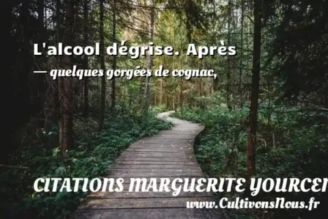 L alcool dégrise. Après - quelques gorgées de cognac, CITATIONS MARGUERITE YOURCENAR