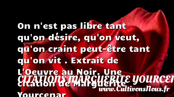 On n’est pas libre tant - Citations Marguerite Yourcenar - Citation libre