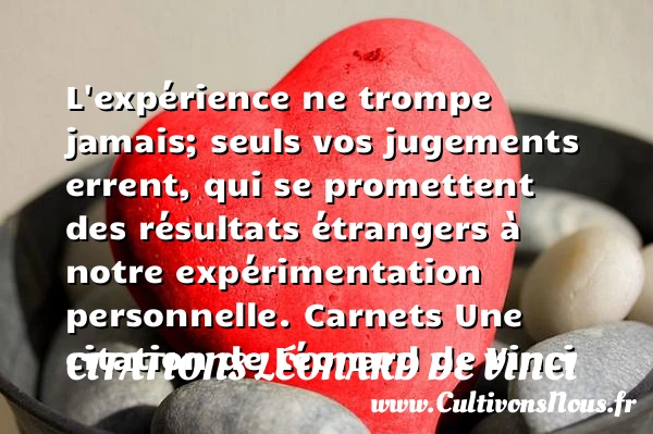 L’expérience ne trompe - Citations Léonard de Vinci - Citation jugement