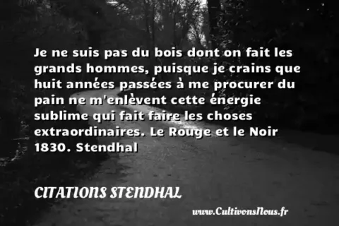 Je ne suis pas du bois dont on fait les grands hommes, puisque je crains que huit années passées à me procurer du pain ne m enlèvent cette énergie sublime qui fait faire les choses extraordinaires. Le Rouge et le Noir 1830. Stendhal CITATIONS STENDHAL