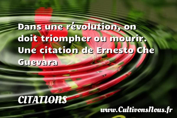 Dans une révolution, on - Citations - Citations Ernesto Che Guevara