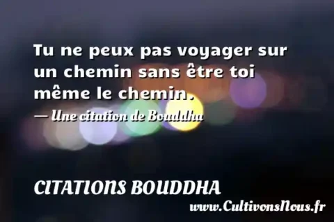 Tu ne peux pas voyager sur un chemin sans être toi même le chemin. - Une citation de Bouddha CITATIONS BOUDDHA