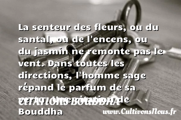 La senteur des fleurs, ou - Citations Bouddha - Citation parfum