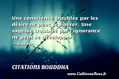 Une conscience troublée par les désirs ne peut se libérer. Une sagesse troublée par l ignorance ne peut se développer.   - Bouddha CITATIONS BOUDDHA