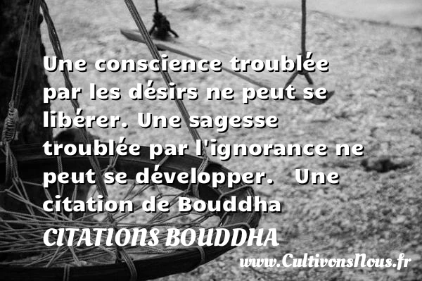 Une conscience troublée par - Citations Bouddha - Citation sagesse