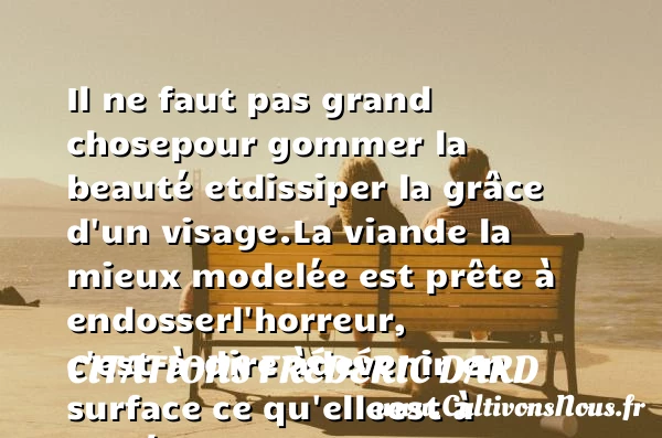 Il ne faut pas grand chose - Citations Frédéric Dard