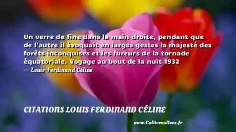 Un verre de fine dans la main droite, pendant que de l autre il évoquait en larges gestes la majesté des forêts inconquises et les fureurs de la tornade équatoriale. Voyage au bout de la nuit 1932 - Louis-Ferdinand Céline CITATIONS LOUIS FERDINAND CÉLINE