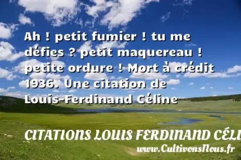 Ah ! petit fumier ! tu me défies ? petit maquereau ! petite ordure ! Mort à crédit 1936. Une citation de Louis-Ferdinand Céline CITATIONS LOUIS FERDINAND CÉLINE