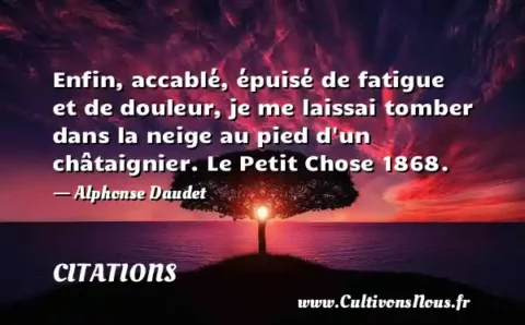 Enfin, accablé, épuisé de fatigue et de douleur, je me laissai tomber dans la neige au pied d un châtaignier. Le Petit Chose 1868. - Alphonse Daudet CITATIONS