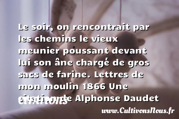 Le soir, on rencontrait par - Citations - Citations Alphonse Daudet - Citation soir