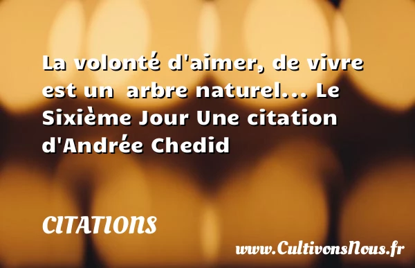 La volonté d’aimer, - Citations - Citations Andrée Chedid - Citation volonté - Citations aimer