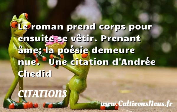 Le roman prend - Citations - Citations Andrée Chedid - Citation roman