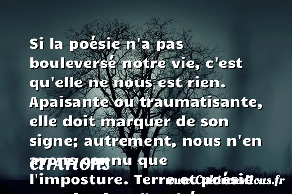 Si la poésie n’a - Citations - Citations Andrée Chedid