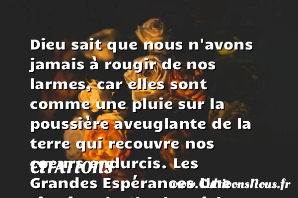 Dieu sait que nous - Citations - Citations Charles Dickens - Citation pluie