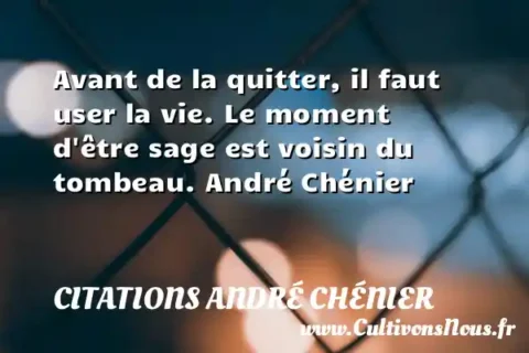 Avant de la quitter, il faut user la vie. Le moment d être sage est voisin du tombeau. André Chénier CITATIONS ANDRÉ CHÉNIER