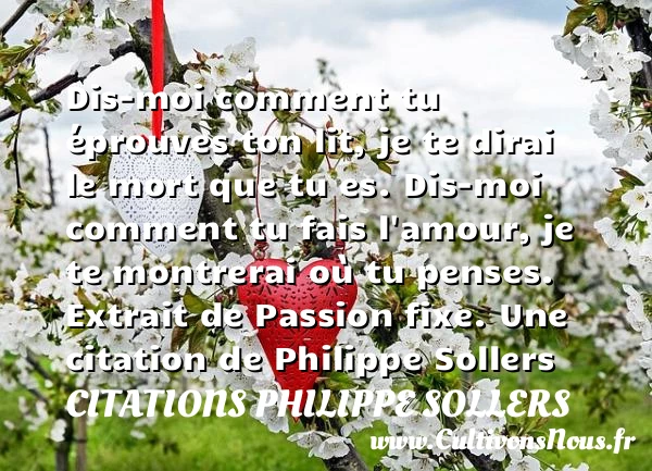 Dis-moi comment tu éprouves - Citations Philippe Sollers